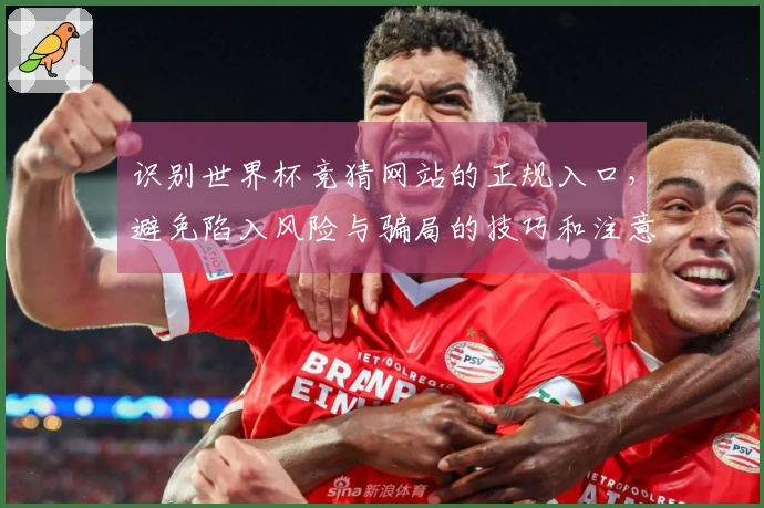 识别世界杯竞猜网站的正规入口，避免陷入风险与骗局的技巧和注意事项
