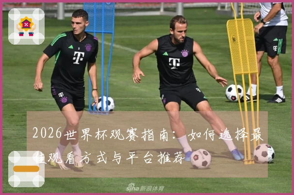 2026世界杯观赛指南：如何选择最佳观看方式与平台推荐