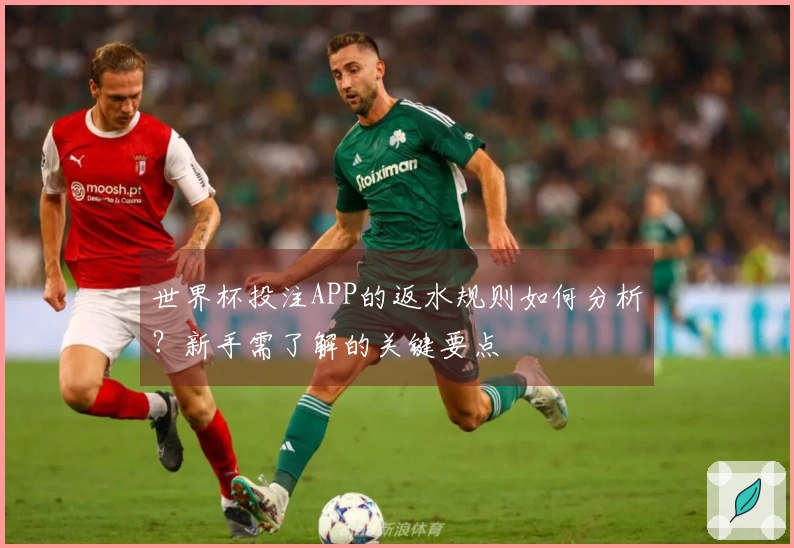 世界杯投注APP的返水规则如何分析？新手需了解的关键要点
