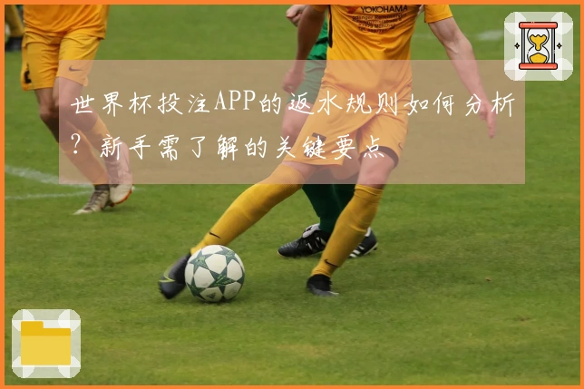 世界杯投注APP的返水规则如何分析？新手需了解的关键要点