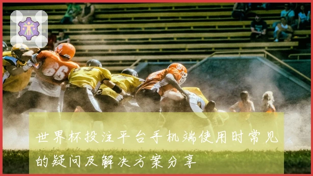世界杯投注平台手机端使用时常见的疑问及解决方案分享