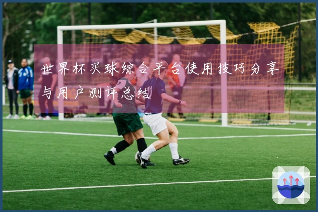 世界杯买球综合平台使用技巧分享与用户测评总结