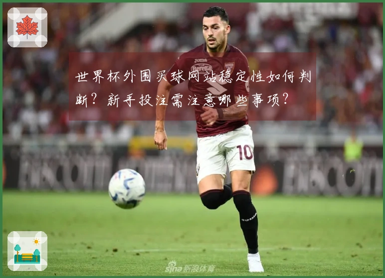 世界杯外围买球网站稳定性如何判断？新手投注需注意哪些事项？