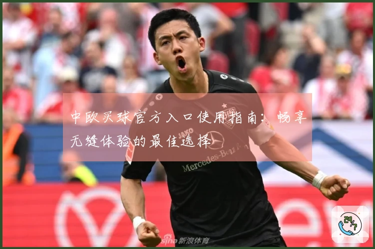 中欧买球官方入口使用指南：畅享无缝体验的最佳选择