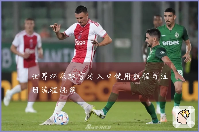 世界杯买球官方入口使用教程与注册流程说明