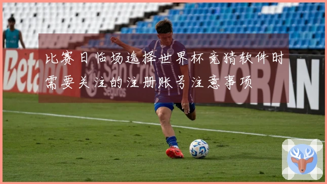 比赛日临场选择世界杯竞猜软件时需要关注的注册账号注意事项