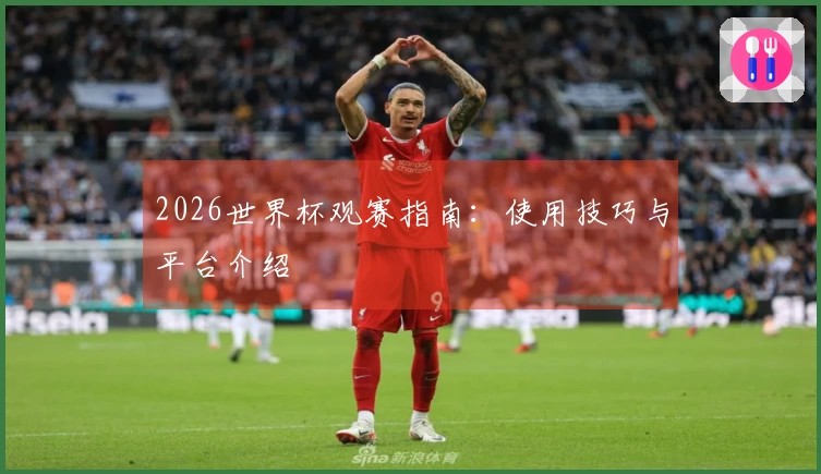 2026世界杯观赛指南：使用技巧与平台介绍