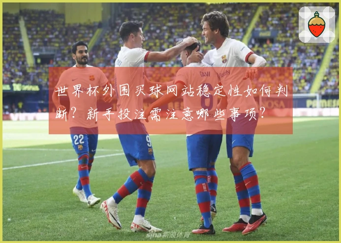 世界杯外围买球网站稳定性如何判断？新手投注需注意哪些事项？
